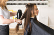 © Виктория Попова - The hairdresser dries the client's hair with a hair dryer and styles her hair with a comb.