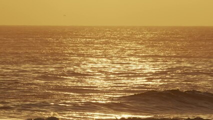 Wall Mural - beautiful evening sunset in the atlantic ocean at portugal coast.