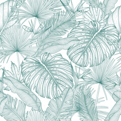 Seamless vector pattern with graphic linear exotic plants. Monstera, palm and banana leaves, aralia, elephant ear leaf, strelitzia engraving style