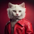 Cool white cat wearing a red leather jacket on red background. Stylish pet portrait in clothing, anthropomorphic people. AI generative art