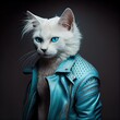 Cool white cat wearing a blue leather jacket on black background. Stylish pet portrait in clothing, anthropomorphic people. AI generative art