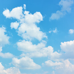 Wall Mural - white heap clouds in the blue sky