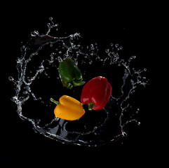 Wall Mural - water splash on sweet pepper isolated on black