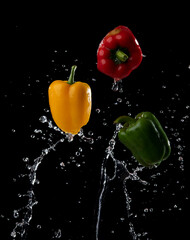 Wall Mural - water splash on sweet pepper isolated on black