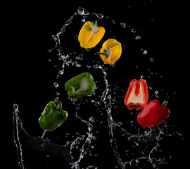 Wall Mural - water splash on sweet pepper isolated on black