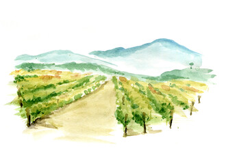 abstract landscape with vineyard / watercolor illustration, mountain landscape with fields