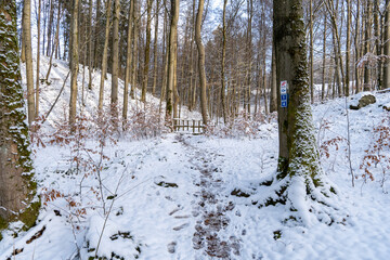   Winterlandschaft in der Rhön- Kaskadenschlucht bei Sandberg/Gersfeld 11