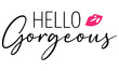 Hello Gorgeous SVG, Hello Beautiful svg, Svg Files for Cricut, Makeup Bag Svg, Hello Beautiful SVG for Cricut and Silhouette, Canvas Bag Svg