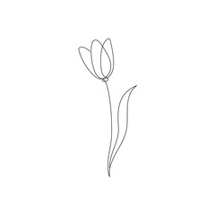 Wall Mural - Line tulip flower art. One continuous line art decorative tulip flower draw. Editable stroke single element. Isolated vector illustration