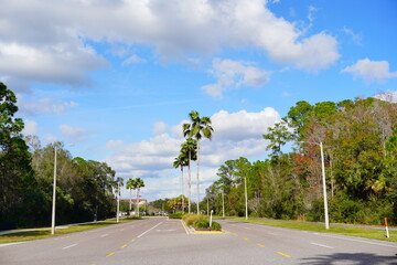 Poster - The winter landscape of Tampa Palms area in Florida