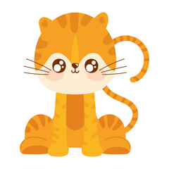 Poster - tiger cute animal