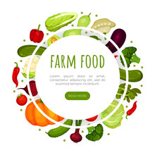 Farm Food Landing Page Template. Fresh Organic Ripe Vegetables Web Banner, Homepage Design Cartoon Vector