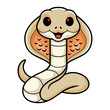 Cute albino monocled cobra cartoon