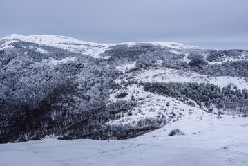 Sticker - Winter forest on the slopes of Demerdzhi mountain range after blizzard in spring. Crimea