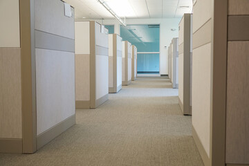 Wall Mural - cubicles inside office building, place of work