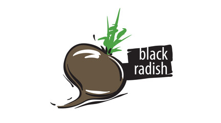 Wall Mural - Drawn black radish isolated on a white background