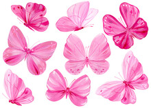 Bright Pink Butterflies Set On Isolated White Background, Acrylic Painting, Butterfly Art
