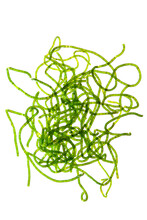 Green Steel Wire Algae (Chaetomorpha Linum) Isolated On White.
