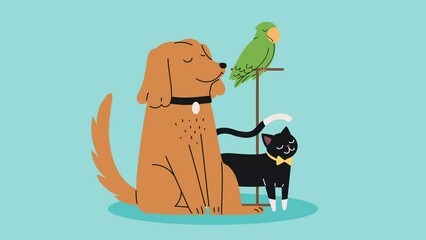 Canvas Print - dog with cat and parrot animation