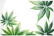 Watercolor decorative frame with blossom green cannabis hemp leaves on white background. Generative ai illustration.