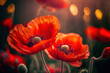 Close up of red poppy flowers in a field. Red poppy flowers in a garden on a blurred bokeh background.  Digital art
