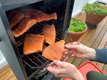 Hands Placing Raw Salmon Trout Fillet Into Open Smoker On Racks For Cooking