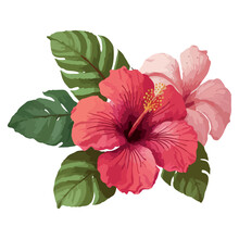 Watercolor Vector Tropical Hibiscus Flower Isolated. Vector Tropical Illustration. Pink Hibiscus Flower Isolated