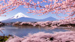 富士山　春の風景　日本の四季