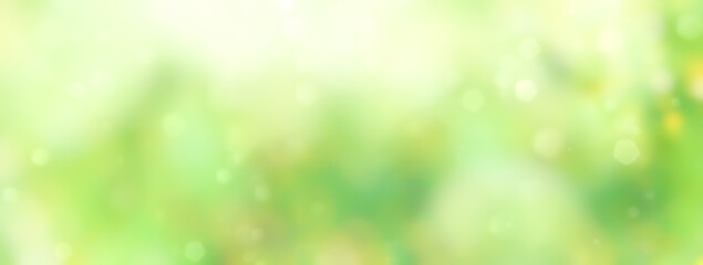 Wall Mural - spring background - abstract banner - green blurred bokeh lights - panorama, header