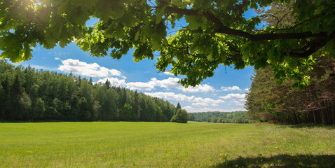Aufkleber - Fresh air and beautiful natural landscape of meadow with green tree  in the sunny day for summer background, Beauty landscape of grass field with forest trees and environment public park with sun rays