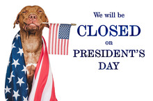Sign That Says We Will Be Closed On President's Day. Lovable, Charming Puppy With The American Flag. Studio Shot. Signboard Layout For You Store. Closeup, No People
