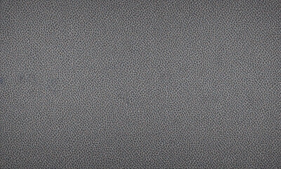 Canvas Print - Abstract gray detailed texture background