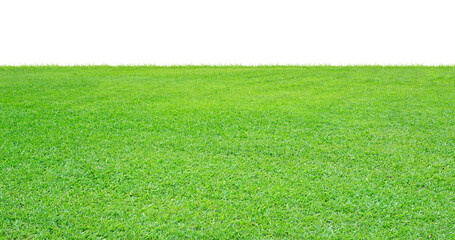 Wall Mural - Green grass field on transparent background. PNG file.
