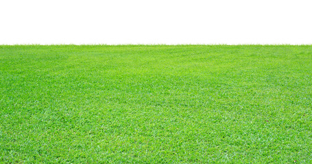 Canvas Print - Green grass field on transparent background. PNG file.