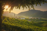 Fototapeta Paryż - Prosecco Hills, vineyards and Guia village at dawn. Unesco Site. Valdobbiadene, Veneto, Italy