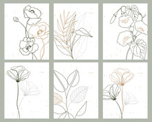 Set Of Posters, Greeting Cards With Line Drawings Of Wildflowers And Plants. Pastel Colors, Rustic Wedding Invitations, Vector Templates.