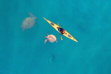 Kayak Swimming Among Sea Turtles Boat Blue Turquoise Water Ocean, Sunny Day. Concept Banner Travel Turkey, Aerial Top View