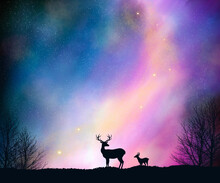 Bautiful Galaxy Nebula Sky With Siluet Sweet Deer