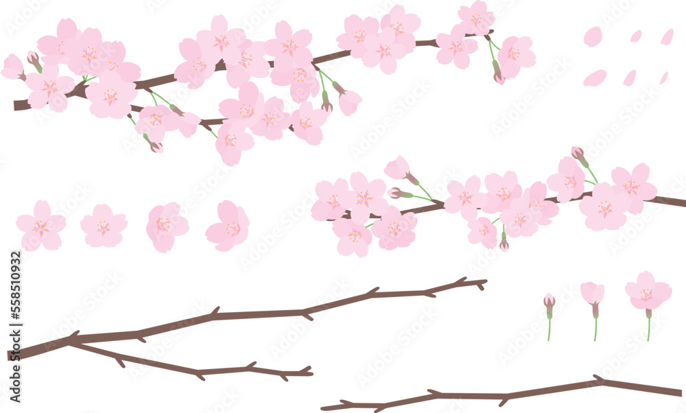 桜と枝のイラスト素材セット Stock Vector | Adobe Stock