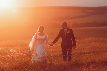 Wall Mural - The bride and groom hold hands and look to the future in the middle of nature, the newlyweds walk together,wedding photography,until death do us part