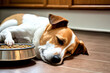 A dog is dozing next to a dish of food. Generative AI