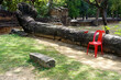 遺跡にあった赤いプラスチックの椅子