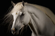 Portrait of a white andalusian horse moving over a black backdrop. Generative AI