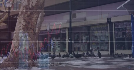 Poster - Animation of financial data processing over pigeons on street