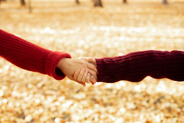 Wall Mural - Cropped photo of family of mother, daughter stretching holding hands among yellow fallen maple leaves in park in autumn.