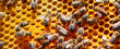 Worker bees work in a hive. Close-up selective focus.