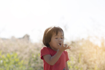 little girl blowing the mission grass flowers in the meadow.