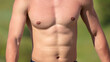 © schankz - Naked chest of a man in nature