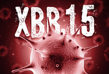 Coronavirus Omicron XBB.1.5 Sub Variant Variant 3d Render Concept: Macro Coronavirus Cell And XBB.1.5 Text In Front Of Blurry Virus Cells Floating On Air. 