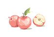 Three pink apples on a white background. Design elements with fruits, Vector illustration in a watercolor style.